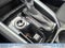 2023 Chevrolet Colorado 4WD LT